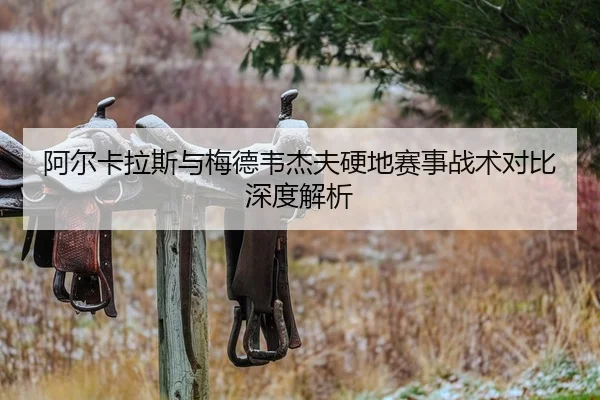 阿尔卡拉斯与梅德韦杰夫硬地赛事战术对比深度解析